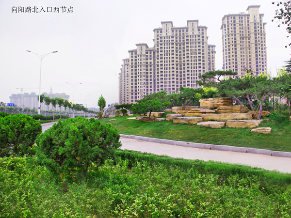 向阳路北入口西节点园林工程案例